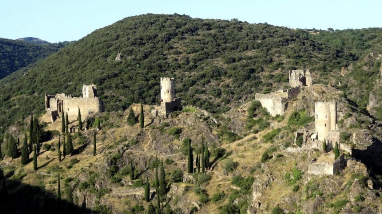 La Maison De Leontine La Liviniere Luaran gambar